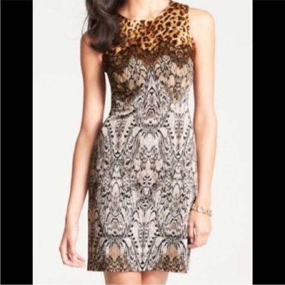 ANN TAYLOR | Animal Print Leopard & Lace Print Sheath Dress Women’s Size 2 - Picture 11 of 11